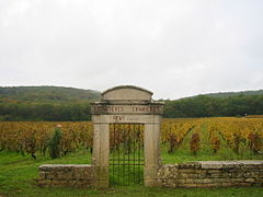 Grand cru Latricières-chambertin, à Gevrey-Chambertin.