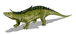 A Desmatosuchus rekonstrukciója