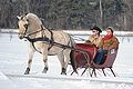 One horse sleigh