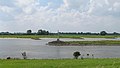 Bifurcation point of the Nederrijn and IJssel (Netherlands)