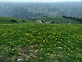 Monte Denai, panorama della montagna vista dal Dosso delle Teste