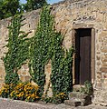 Deutsch: Ein Stück der Stadtmauer in Leonberg. English: The city wall in Leonberg, German Federal State Baden-Württemberg.