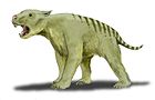 Thylacoleo carnifex