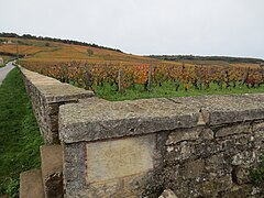 Clos de la Romanée-Conti du domaine de la Romanée-Conti