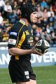 Danny Cipriani (Wasps)