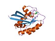 1p2t: H-Ras 166 in Aqueous mother liquor, RT