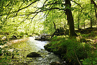 La Vienne fra Tarnac e Rempnat