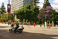 Security on St Georges tce and Barrack st