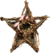 File:Homemadebarnstar.png