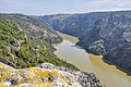 * Nomination: Mirador de Freixiosa, río Duero, Tras Os Montes, Portugal.Esta é uma fotografia de um Sítio de Importância Comunitária em Portugal com o identificador:Esta é unha foto dunha Zona especial de conservación en España co ID:Eu, como posuidor dos dereitos de autor desta obra, pola presente publícoa baixo a seguinte licenza:. By User:TouchName --Beninho 09:36, 19 September 2024 (UTC) * * Review needed