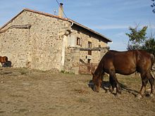 Photo d'un cheval massif en train de brouter l'herbe rare et raze devant une maison en pierre.