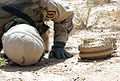 May 18, 2004: Staff Sgt. Kevin Jessen checks the underside of two anti-tank mines found in a village outside Ad Dujayl in the Sunni Triangle.