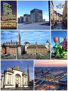 Lille Collage.jpg