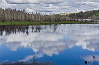 Свободненский район (подтайга)