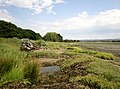 Vieille coque abandonnée et schorre le long de la rive nord de la ria de la Rivière du Faou en amont de Lanvoy.