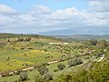 The open fields of the Algarve in spring