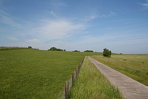 Deich nahe Fedderwadersiel