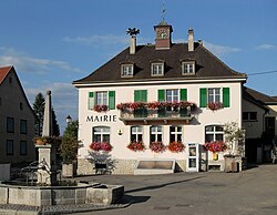 Skyline of Wolschwiller