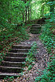 Deutsch: Die Dörzbach Stäffele, ein Fußweg zwischen Dörzbach und Meßbach, Hohenlohekreis in Süddeutschland. English: Dörzbacher Stäffele, Dörzbach in Southern Germany.