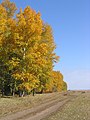 Steppe de Koulounda