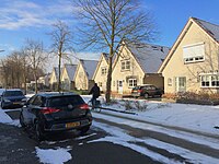 Een sneeuwige Dotterbloemstraat, Nieuw-Vennep