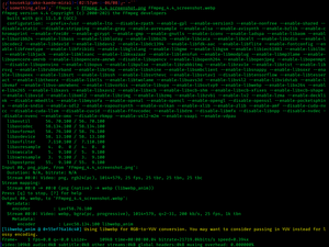 FFmpeg執行影片檔轉檔時的畫面