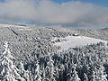 Le point culminant du Pays sicule, le Harghita-Mădăraș (Madarasi-Hargita).