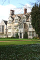 Snowdrops in front of the house