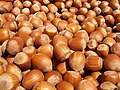 Hazelnuts (Corylus avellana)