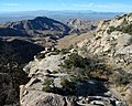 Tucson - Windy Point dağından