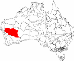 The IBRA regions, with Murchison in red