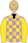 Mauve and yellow check, yellow sleeves