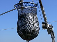 Fishing nets in France