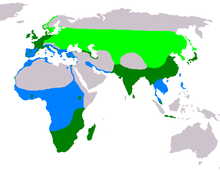 Light green: summer Dark green: all year Blue: winter