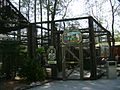 Lorikeet Landing aviary in 2010