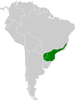 Distribución geográfica de la tangara pioró.