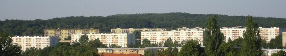 Blick auf das Yorckgebiet – im Hintergrund der Zeisigwald.