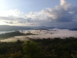 Panorámica de CAD