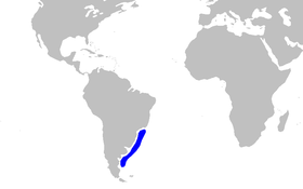 Phân bố của loài cá mập thiên thần Argentina