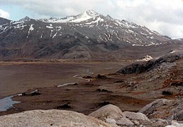 Subantarktische Wiesentundra auf den Kerguelen