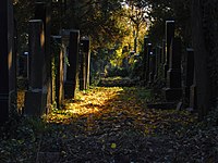 4: Vecchio cimitero ebraico, parte del cimitero centrale di Vienna (Wien). User:HeinzLW