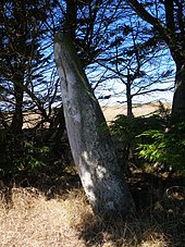 Menhir de Parc-er-Menhir