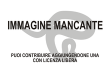 Immagine di Bobosaurus forojuliensis mancante