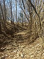 Monte Denai, scorcio dell'antica mulattiera che congiunge Magasa con il monte