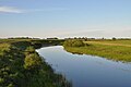 Tchoulym (tributaire du lac Tchany)