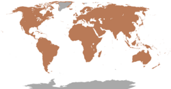 Distribución de todas las especies.