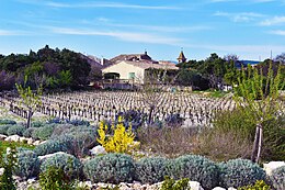 Saint-Jean-de-Minervois - Sœmeanza