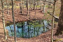 A view of a large hydrological spring