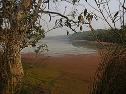 Lakhimpur ê kéng-sek