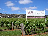 Penfolds Magill Estate, South Australia